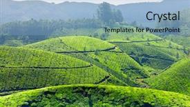  Presentation with munnar - Amazing PPT layouts having tea plantations munnar kerala india backdrop and a  colored foreground