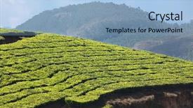  Presentation with munnar - PPT layouts enhanced with tea plantations munnar kerala india background and a  colored foreground