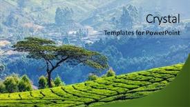  Presentation with munnar - Cool new presentation design with tea plantations munnar kerala state backdrop and a light blue colored foreground