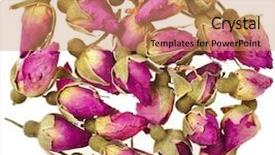  Presentation with analysis risk top view - Beautiful presentation theme featuring tea-rose buds surface top backdrop and a coral colored foreground