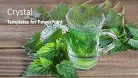  Presentation with tea - Cool new slides with tea with fresh nettles on a wooden background backdrop and a gray colored foreground