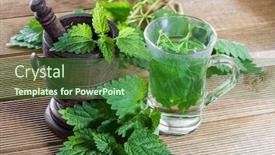  Presentation with tea - Theme enhanced with tea with fresh nettles on a wooden background background and a forest green colored foreground