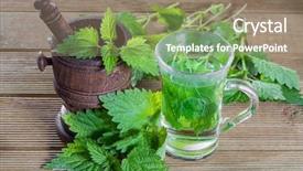  Presentation with tea - Amazing presentation theme having tea with fresh nettles backdrop and a coral colored foreground