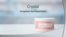  Presentation with jaw - Slide deck featuring teaching models - artificial jaw model on table background and a lemonade colored foreground