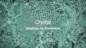  Presentation with teal - PPT theme enhanced with teal ocean sea coral organic texture - background series 10 background and a seafoam green colored foreground