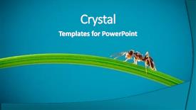  Presentation with ant - Audience pleasing theme consisting of team ants - ant running around the curved backdrop and a gray colored foreground