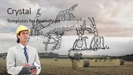  Presentation with ants - Slide deck having team ants - composite image of attractive architect background and a  colored foreground