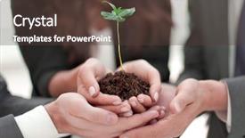 Presentation with sprout - Presentation design enhanced with team holding together fresh green background and a tawny brown colored foreground