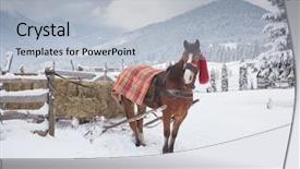  Presentation with win in a thoroughbred horse - Beautiful slide deck featuring team horses - horse drawn sledge in winter backdrop and a  colored foreground