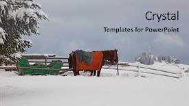  Presentation with horse - Audience pleasing presentation design consisting of team horses - horse drawn sledge in winter backdrop and a  colored foreground