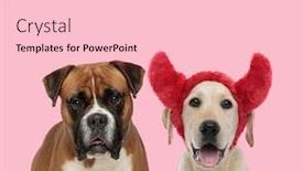  Presentation with boxer - Audience pleasing theme consisting of team-of-boxer-and-labrador backdrop and a lemonade colored foreground