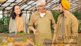 Presentation with harvest - Slide set having team-of-farmers-discussing-harvest background and a gold colored foreground