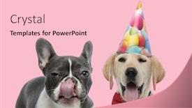  Presentation with agenda for team outing - Colorful PPT theme enhanced with team-of-french-bulldog backdrop and a lemonade colored foreground