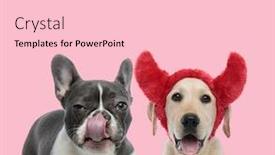  Presentation with team - PPT theme enhanced with team-of-french-bulldog background and a lemonade colored foreground