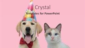  Presentation with pink cat - Audience pleasing PPT layouts consisting of team-of-labrador-retriever-wearing backdrop and a lemonade colored foreground
