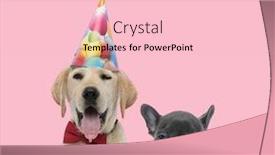  Presentation with pink birthday - Presentation enhanced with team-of-labrador-retriever background and a lemonade colored foreground