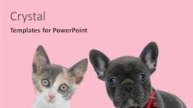  Presentation with pink cat - Theme enhanced with team-of-metis-cat background and a lemonade colored foreground