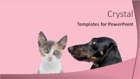  Presentation with pink cat - Amazing theme having team-of-metis-cat backdrop and a lemonade colored foreground