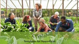  Presentation with multicultural - Presentation design having team-of-multicultural-male and a seafoam green colored foreground