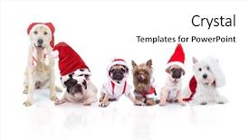  Presentation with dogs - Colorful slides enhanced with team of six cute dogs backdrop and a white colored foreground