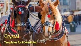  Presentation with horse and carriage isolated - Amazing PPT layouts having team of two decorated horses backdrop and a tawny brown colored foreground