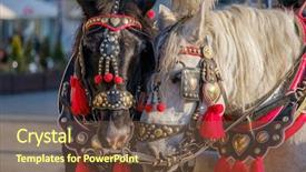  Presentation with horses - PPT layouts with team of two decorated horses background and a  colored foreground