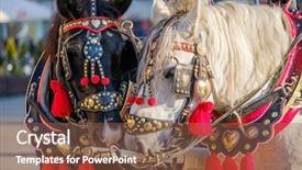  Presentation with horses - Beautiful PPT layouts featuring team of two decorated horses backdrop and a tawny brown colored foreground