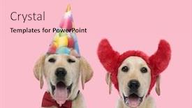  Presentation with pink birthday - Colorful PPT layouts enhanced with team-of-two-labradors-retriever backdrop and a lemonade colored foreground