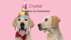  Presentation with team party - Audience pleasing slide deck consisting of team-of-two-labradors-retriever backdrop and a lemonade colored foreground