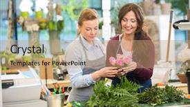  Presentation with pink roses - PPT theme having teamwork bunch - florists making bouquet of pink background and a  colored foreground
