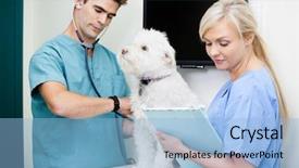  Presentation with heart rate - Slides featuring tech measuring the heart background and a light blue colored foreground