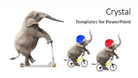 Presentation with transportation family - Audience pleasing slide set consisting of transportation technology - funny elephant's family bicycling road backdrop and a white colored foreground