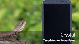  Presentation with animal - Presentation design featuring technology aplication - smatrphone and repitile life idea background and a black colored foreground