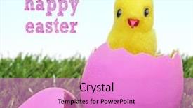  Presentation with chick - Presentation design featuring teddy chick emerging from a hatched pink easter egg on the grass and sentence happy easter background and a lilac colored foreground