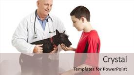  Presentation with teen - Theme enhanced with teen boy takes his dog background and a mint green colored foreground