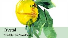  Presentation with hip hop dancing - Colorful theme enhanced with hop dancer with hand drawn backdrop and a seafoam green colored foreground