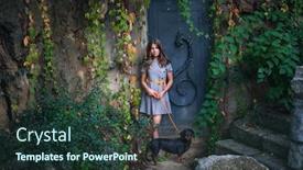  Presentation with old dog - Slide set featuring teen-girl-in-dress background and a tawny brown colored foreground