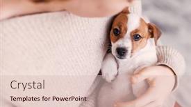  Presentation with teen girl - 