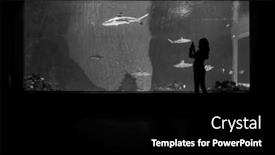  Presentation with sharks - Presentation theme enhanced with teen-girl-viewing background and a black colored foreground