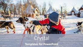  Presentation with dog sled - Cool new PPT layouts with teenage boy having a cuddle with husky sled dog in northern norway backdrop and a light blue colored foreground
