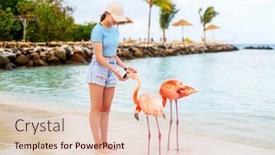  Presentation with teenage girl - Theme with teenage-girl-and-pink-flamingos background and a  colored foreground