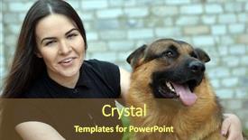  Presentation with german - Beautiful PPT theme featuring teenager girl and german shepherd backdrop and a tawny brown colored foreground
