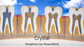  Presentation with machine tool structure - Colorful presentation theme enhanced with teeth gum - human tooth structure backdrop and a coral colored foreground