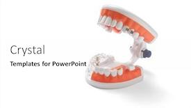 Presentation with teeth - PPT theme featuring teeth-model-isolated-on-white background and a white colored foreground