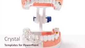  Presentation with teeth - Cool new presentation theme with teeth-model-isolated-on-white backdrop and a lemonade colored foreground