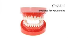  Presentation with dentures - PPT layouts having teeth-or-dentures-isolated background and a white colored foreground