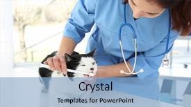  Presentation with teeth - Beautiful presentation design featuring teeth with toothbrush in animal backdrop and a light blue colored foreground