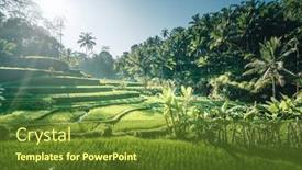  Presentation with bali - PPT theme with tegalalang-rice-terrace-bali-indonesia background and a tawny brown colored foreground