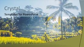  Presentation with bali - Presentation theme having tegalalang-rice-terrace-bali-indonesia background and a light blue colored foreground