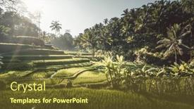  Presentation with bali - Cool new presentation theme with tegalalang-rice-terrace-bali-indonesia backdrop and a tawny brown colored foreground